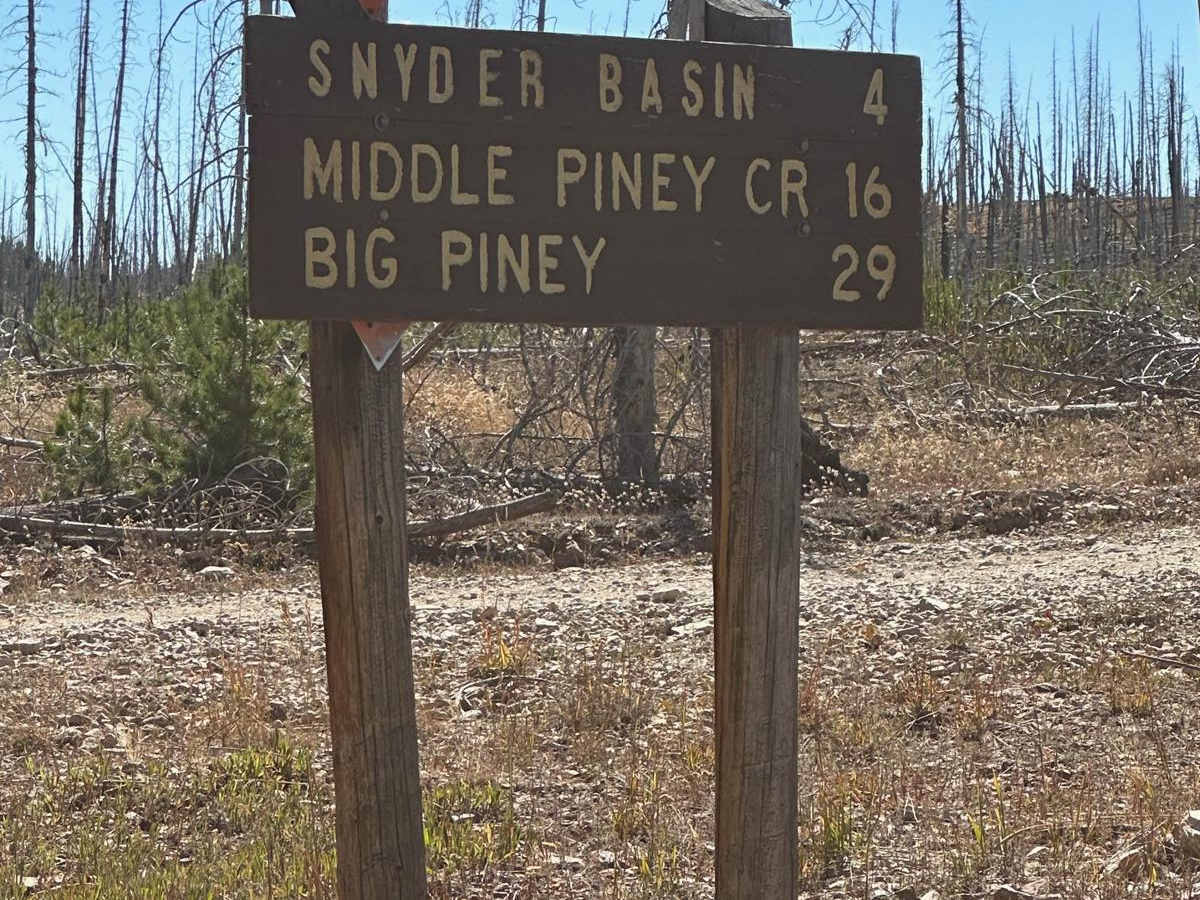 South Piney Creek trail photo