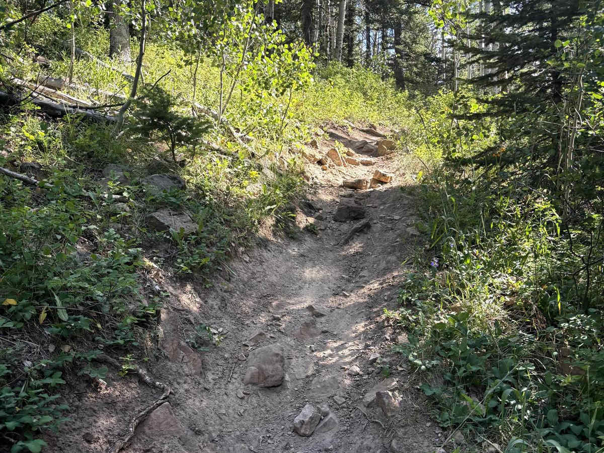 Buck Trail photo 6