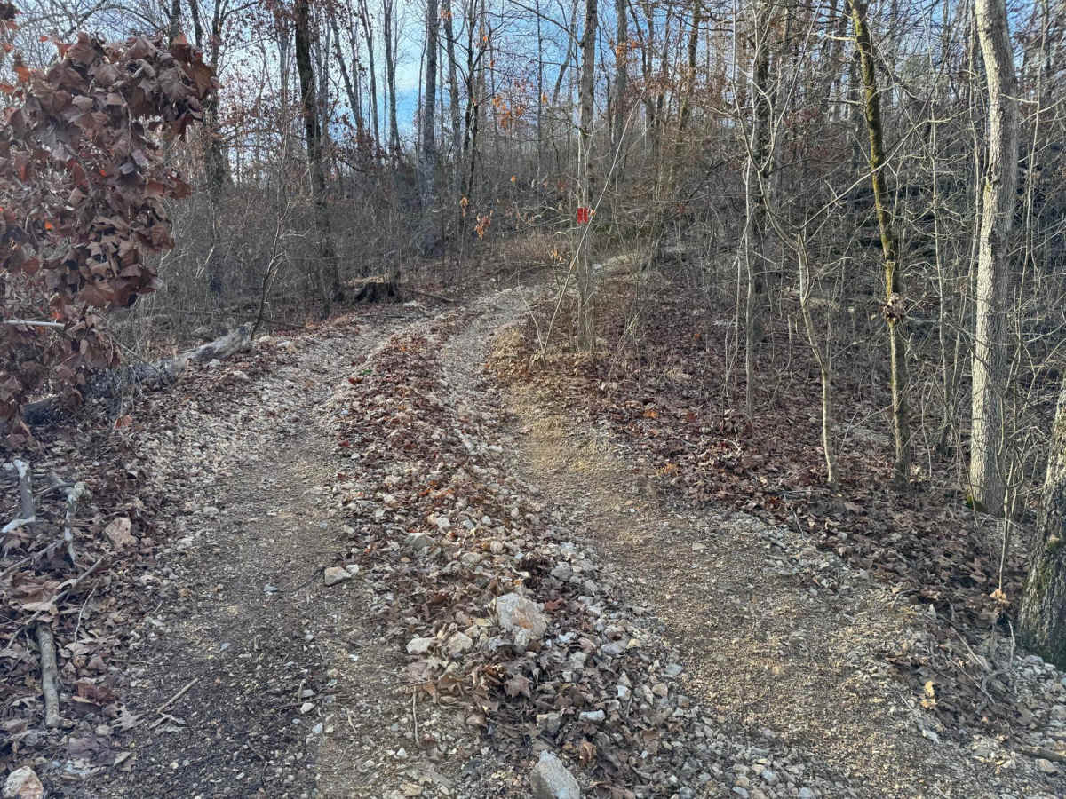 Yellow 358 trail photo
