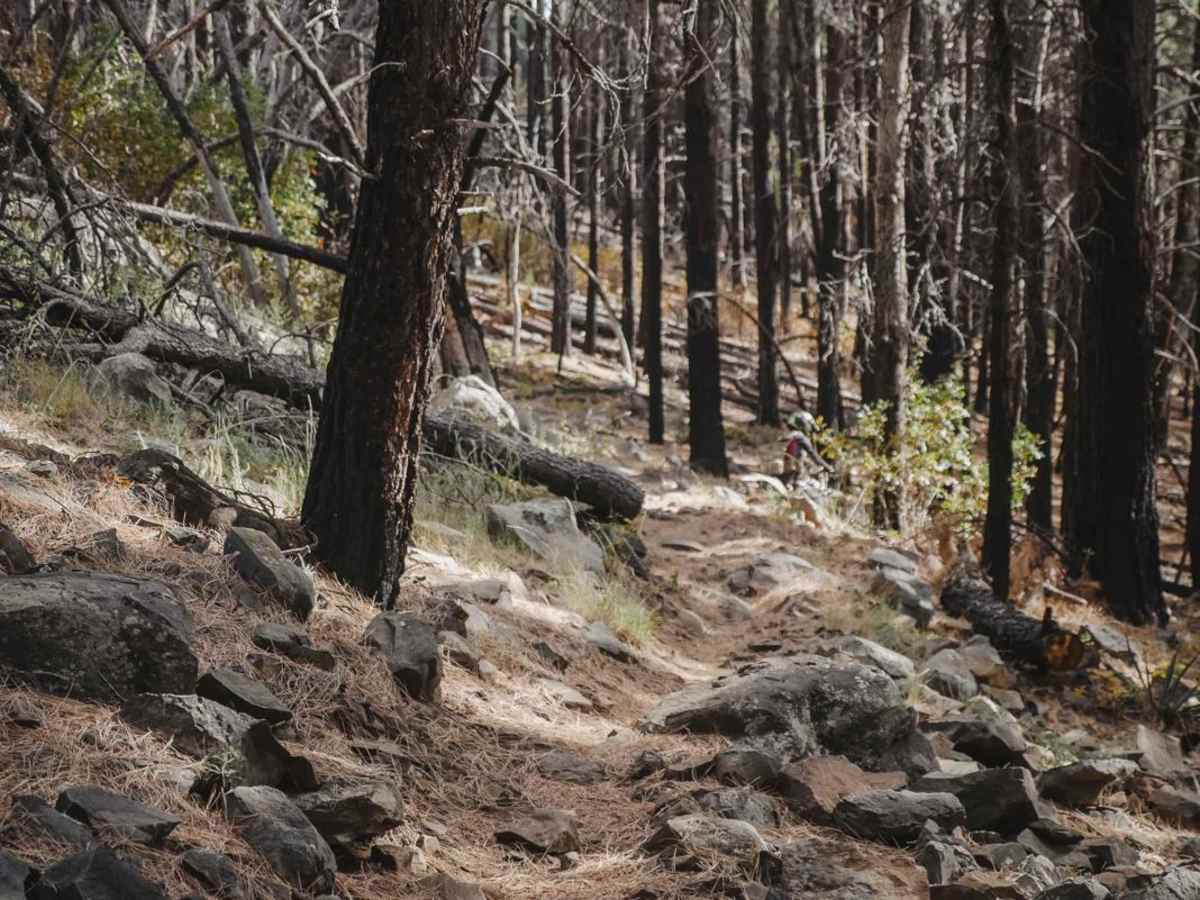 Rock Rut photo 2