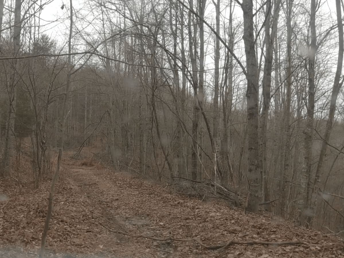 Big Branch Hill photo 2