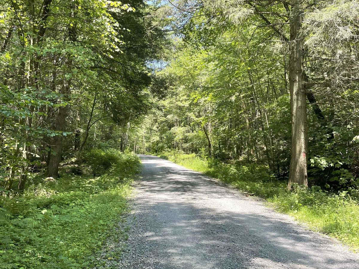 Mile Run Road photo 6