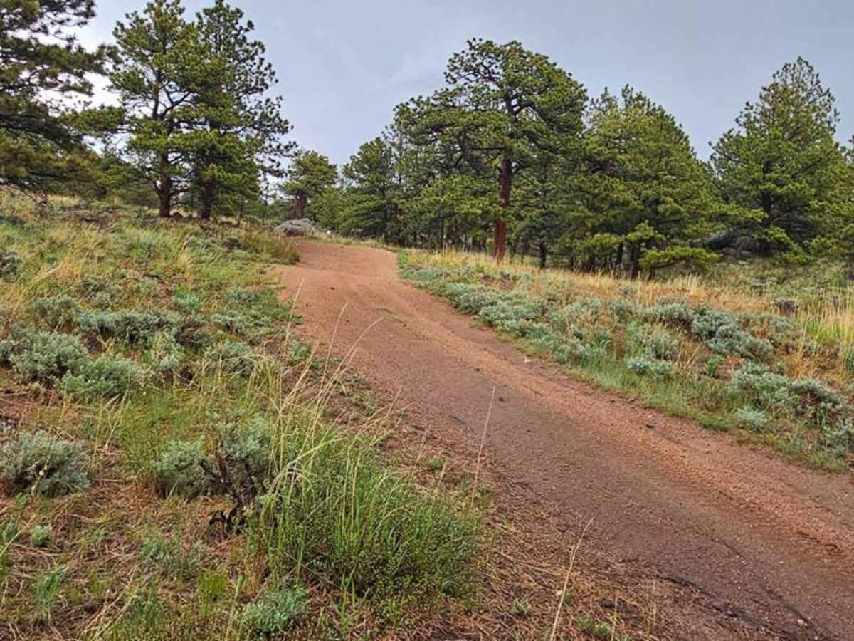 Rancher Loop photo 5