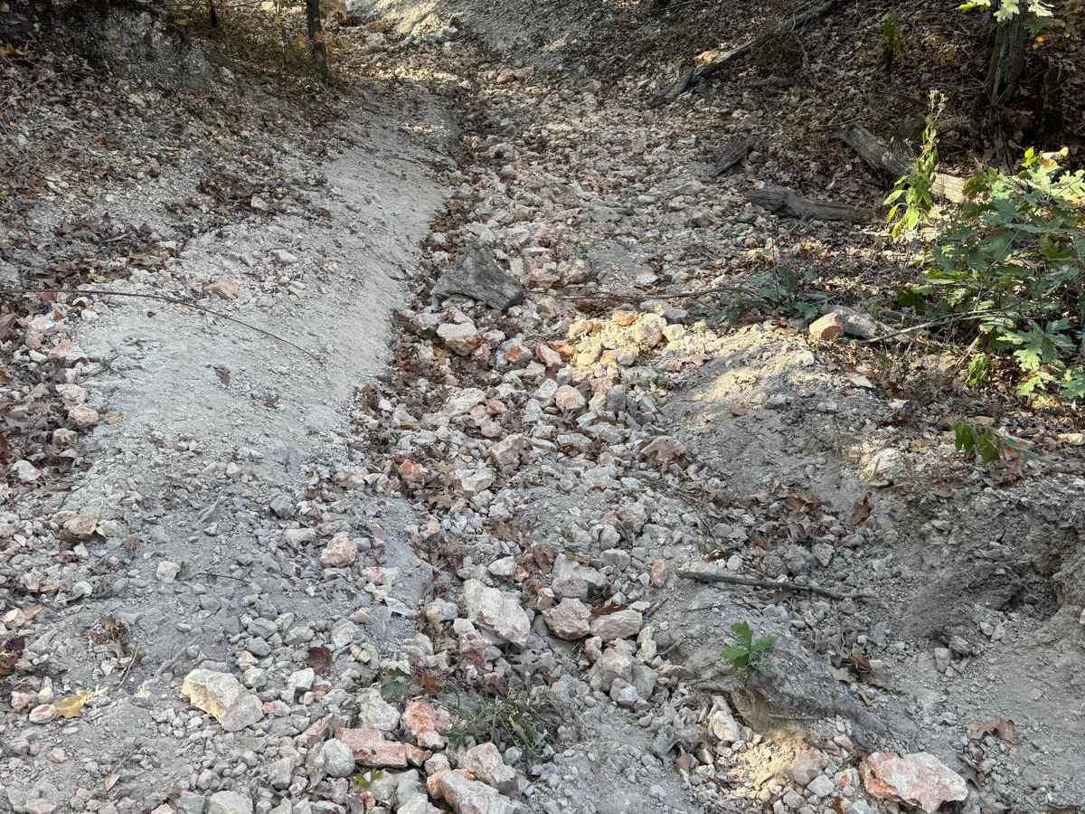 Red 51 trail photo