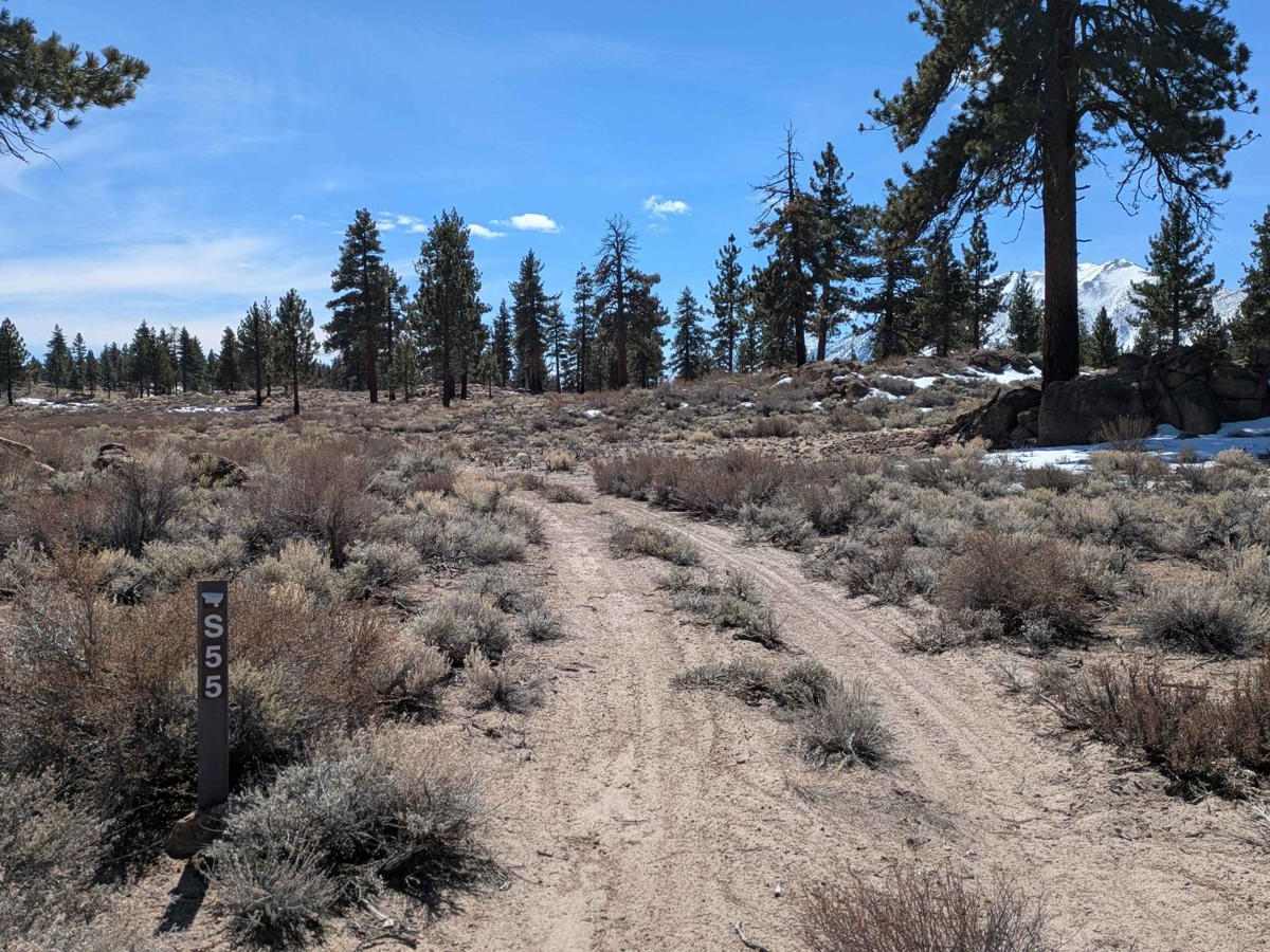 Round Mountain Loop - FS4S55 photo 4