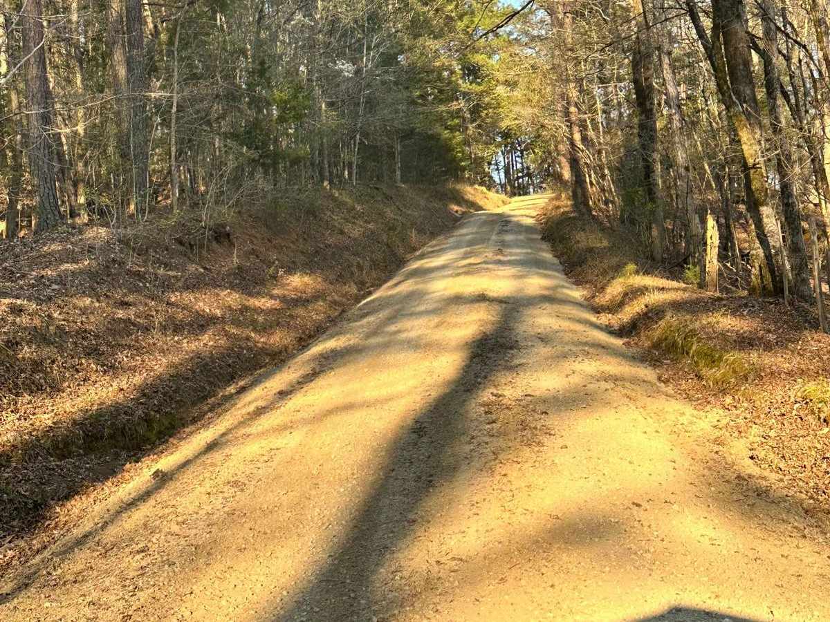 Little North Carolina Road photo 5