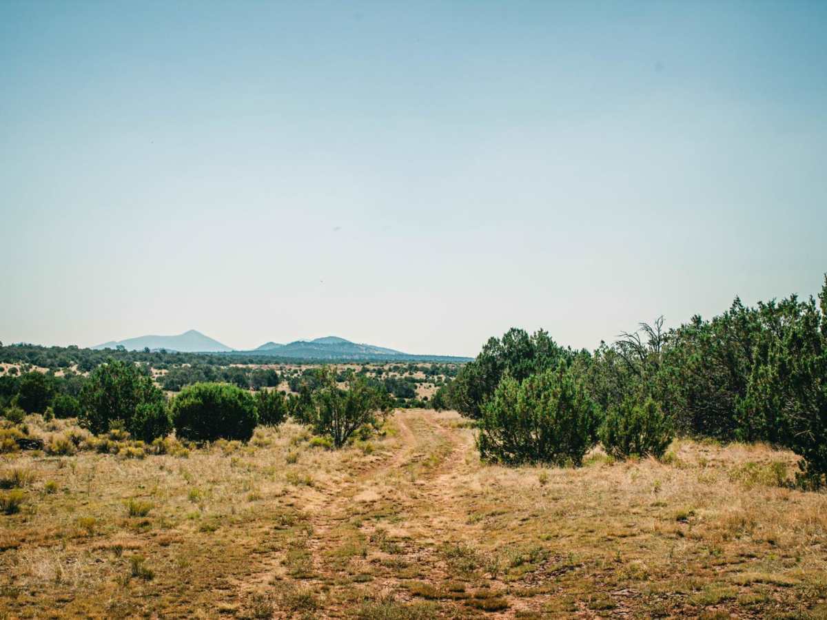 FR9192E trail photo