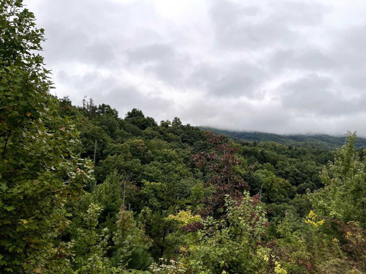 Waucheesi Mountain Overlook photo 6