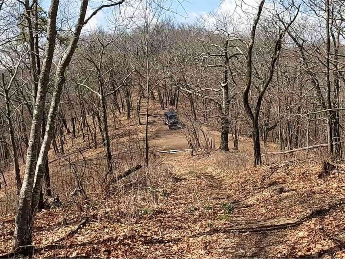 Hite Hollow photo 2
