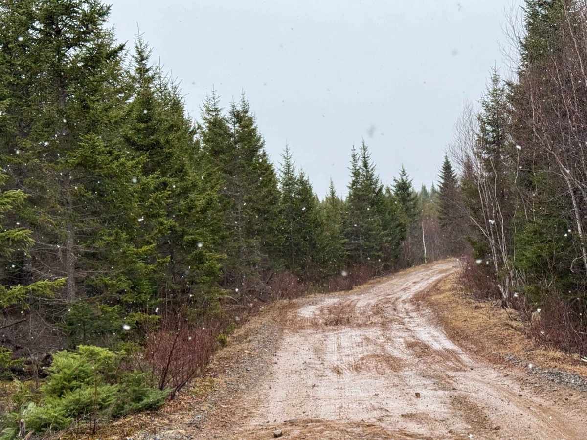 Renfrew Road photo 4