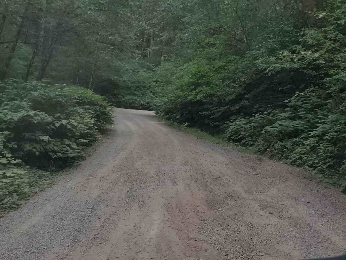Axel Breaker Speed Bump Lane photo 6