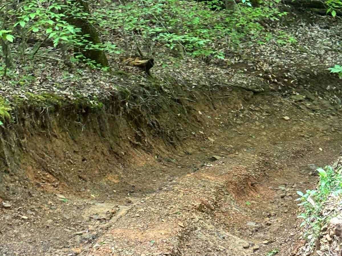 Yeti Bottoms photo 2