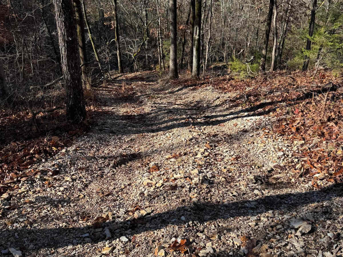 Purple 124 trail photo