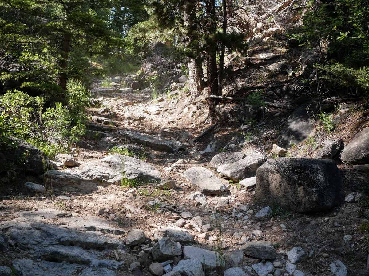 Lion Gulch trail photo