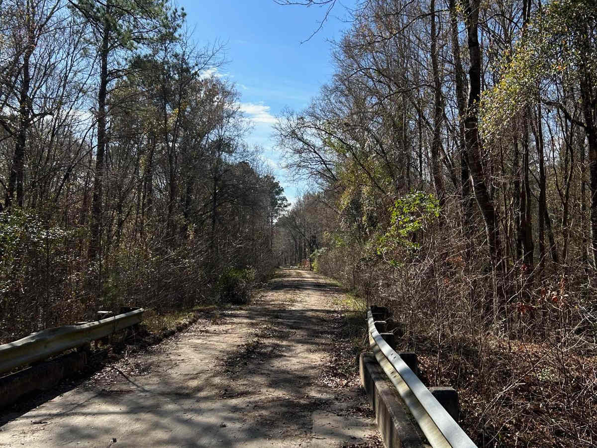 Yellow Jacket Road - FSR 159 photo 3