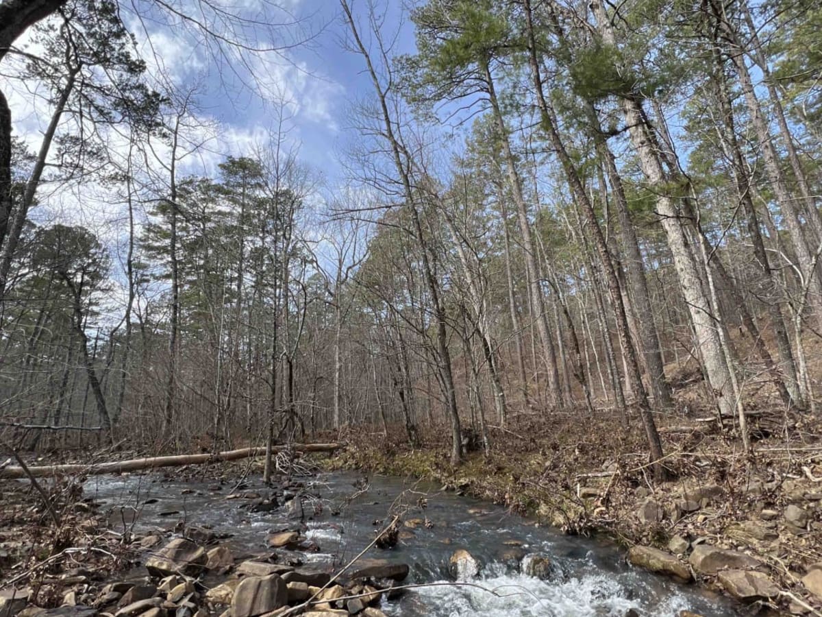 Big Cove Road 739 photo 3