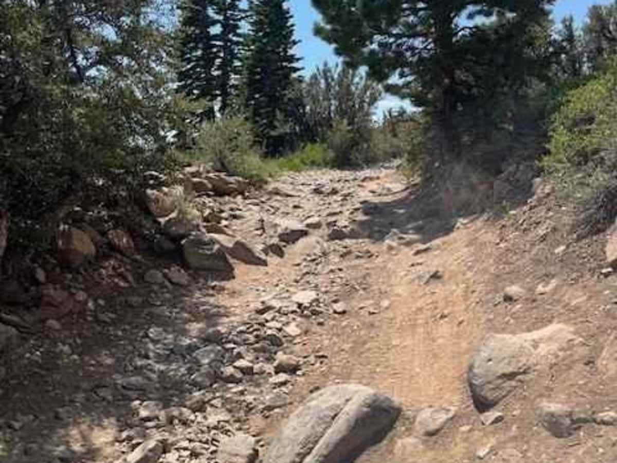 Hunter Lake photo 4