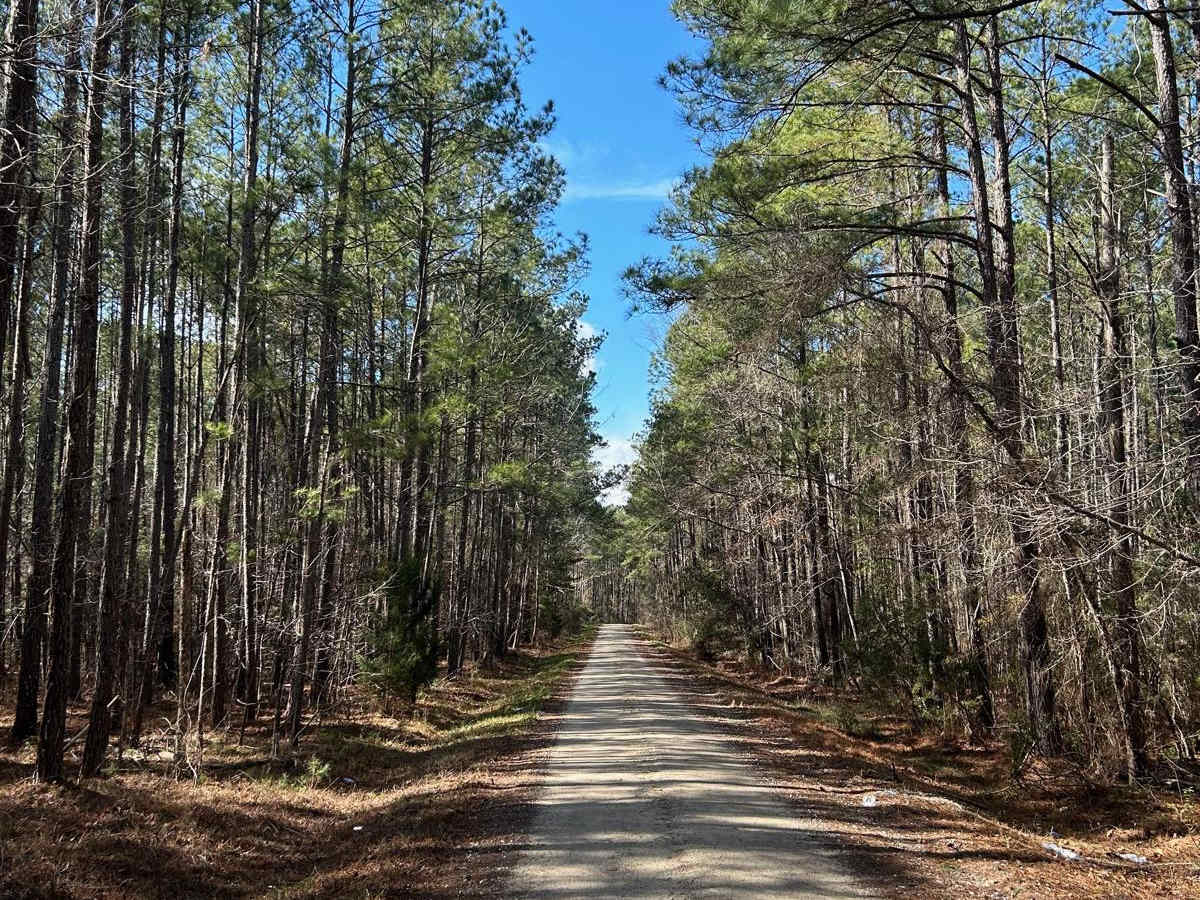 Hampton Road - FSR170 photo 6