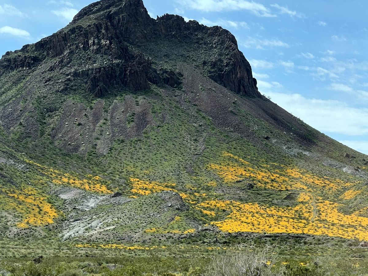 AZ Peace Trail Segment Lake Havasu to Kingman trail photo