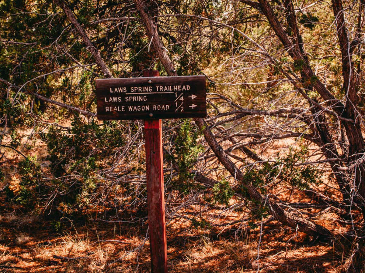 Laws Spring photo 6