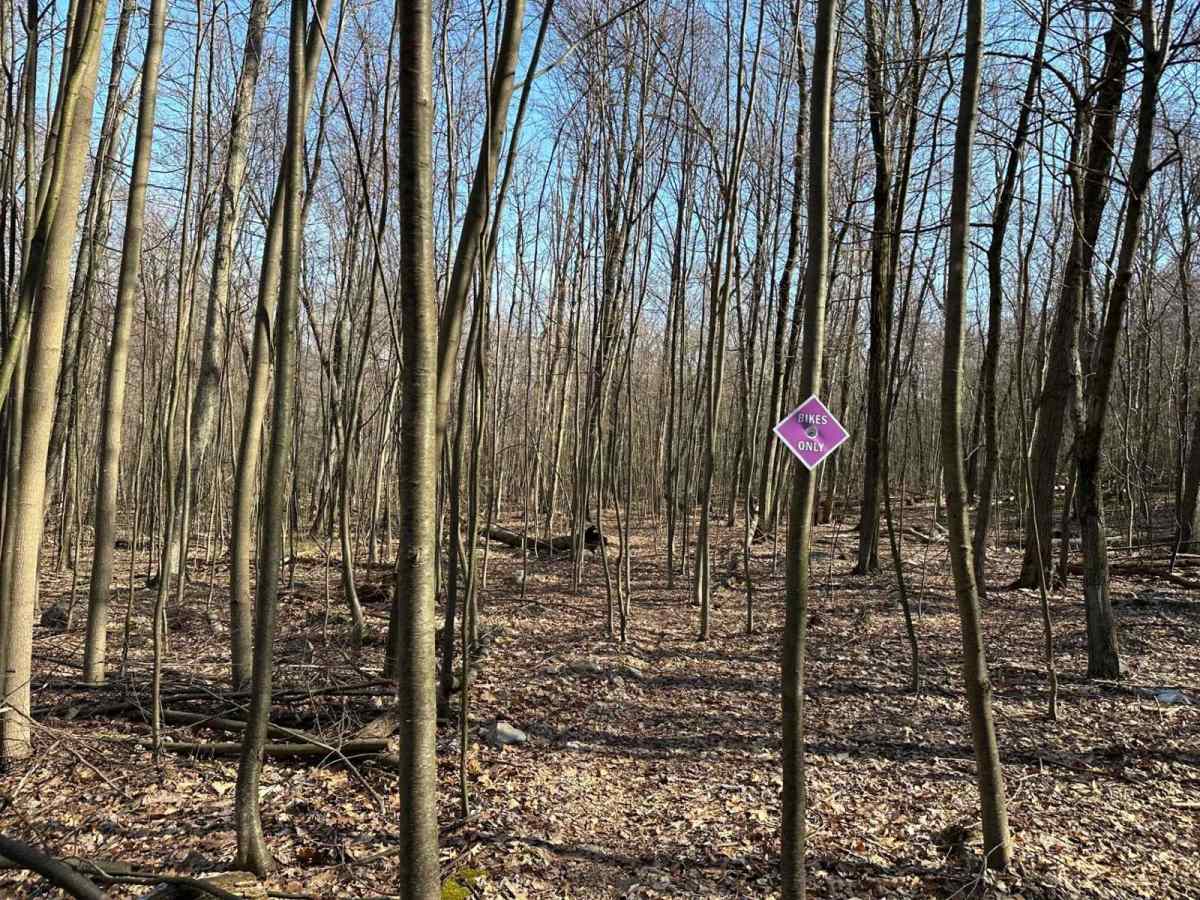 Tower City Single Track 3- A photo 5