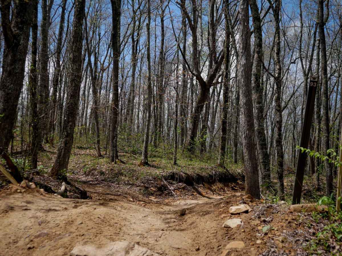 IR 93 trail photo