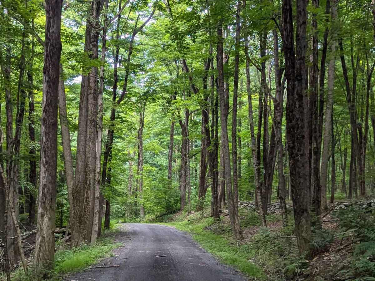 Old Macedonia Road trail photo