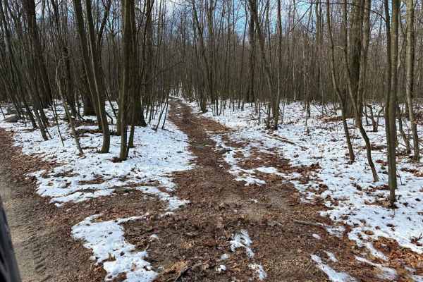 Locust Gap Single Track 2 West