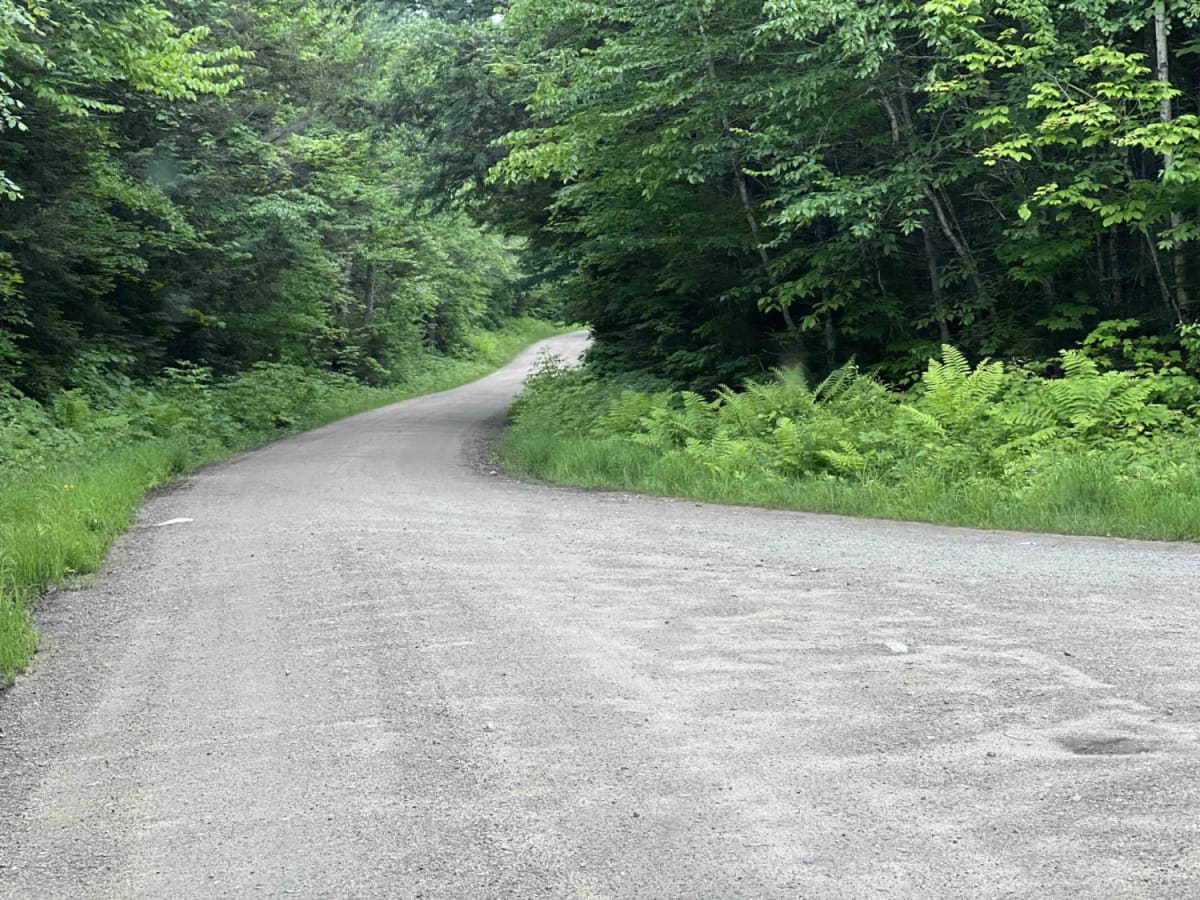 East Branch Saco River trail photo