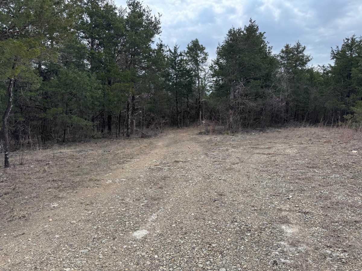 FSR 147A trail photo