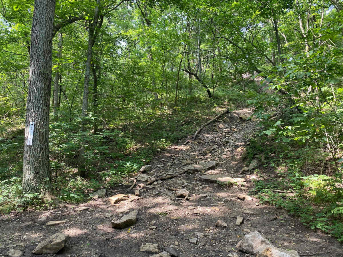 Warren's Warp trail photo