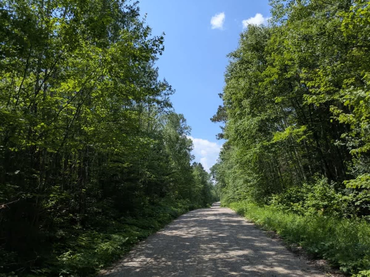Hulum Road trail photo