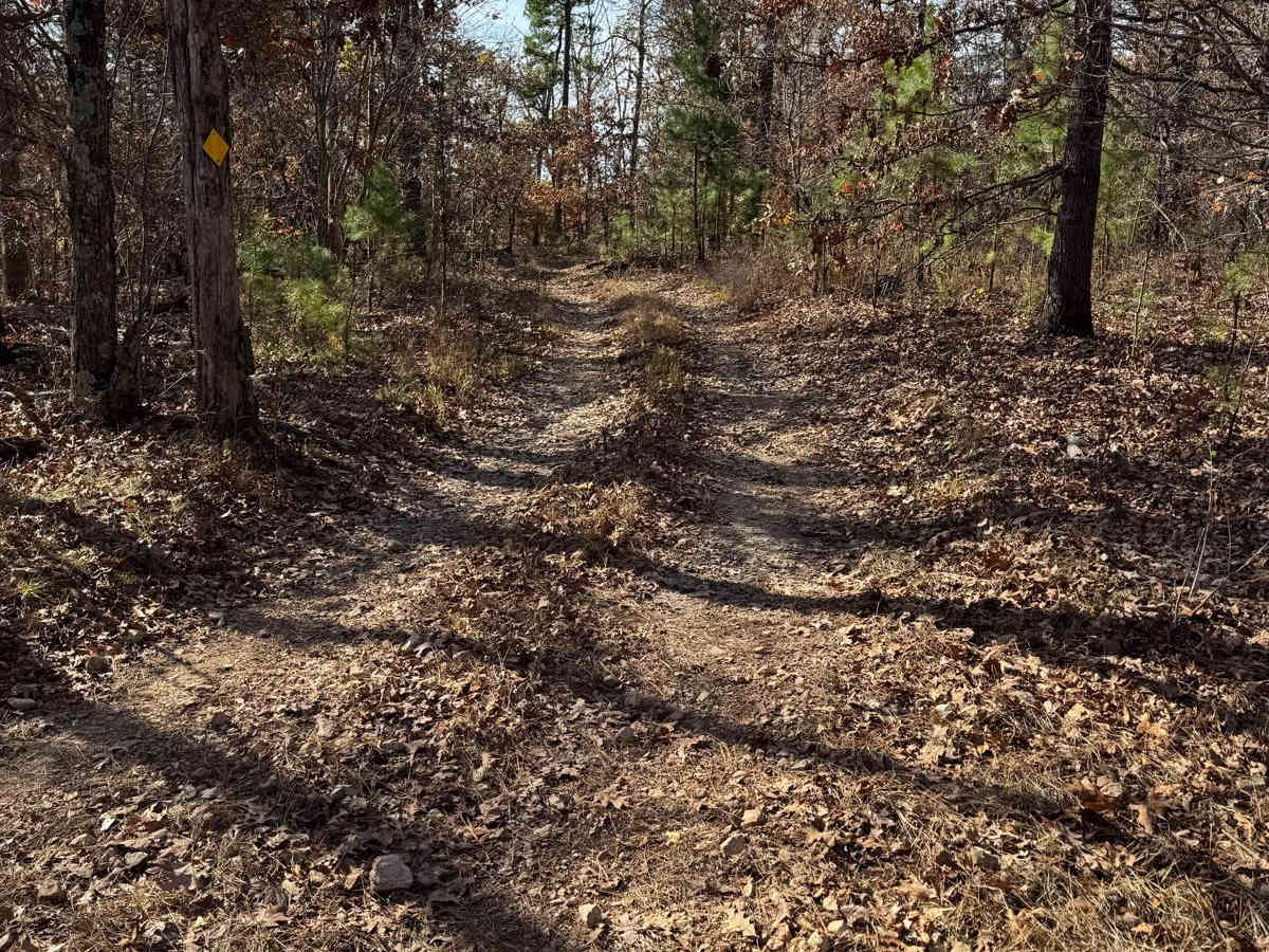 Green 174 trail photo