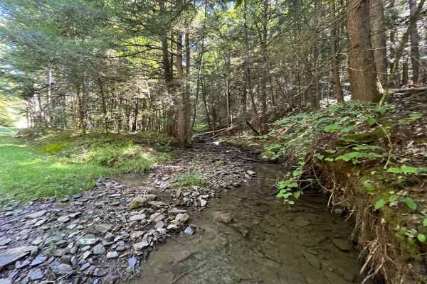 Wildcat Hollow Limited Access