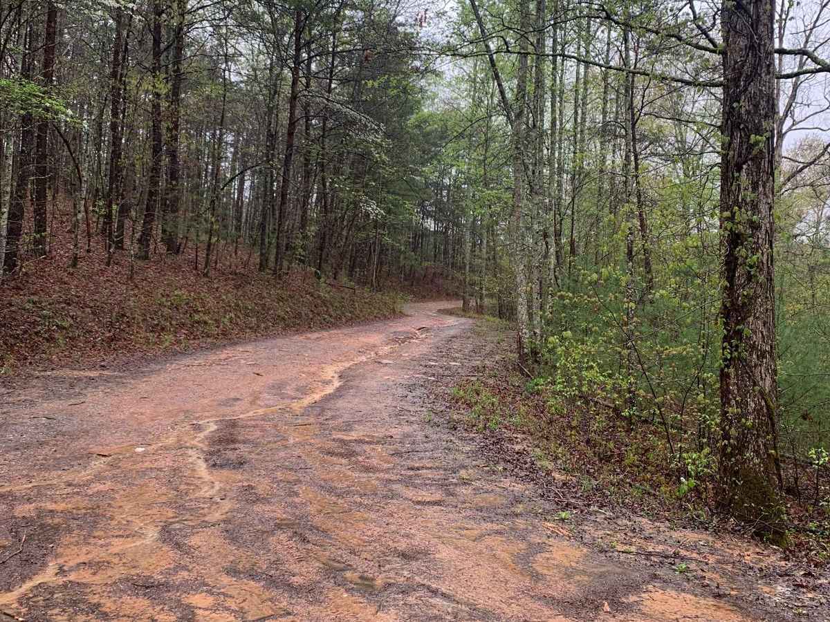 Blue Ridge Trail - Big Frog photo 2