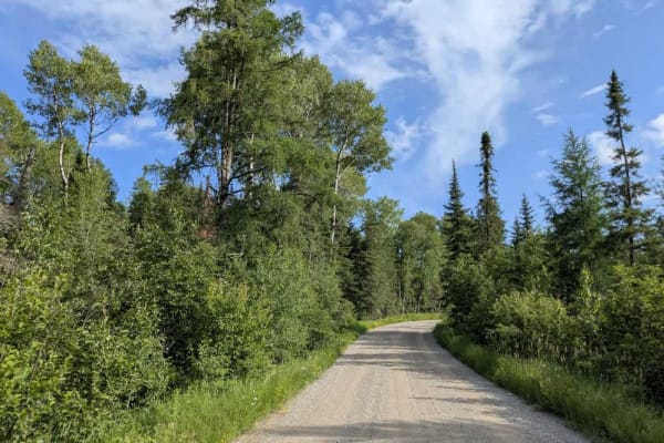 County Road 361