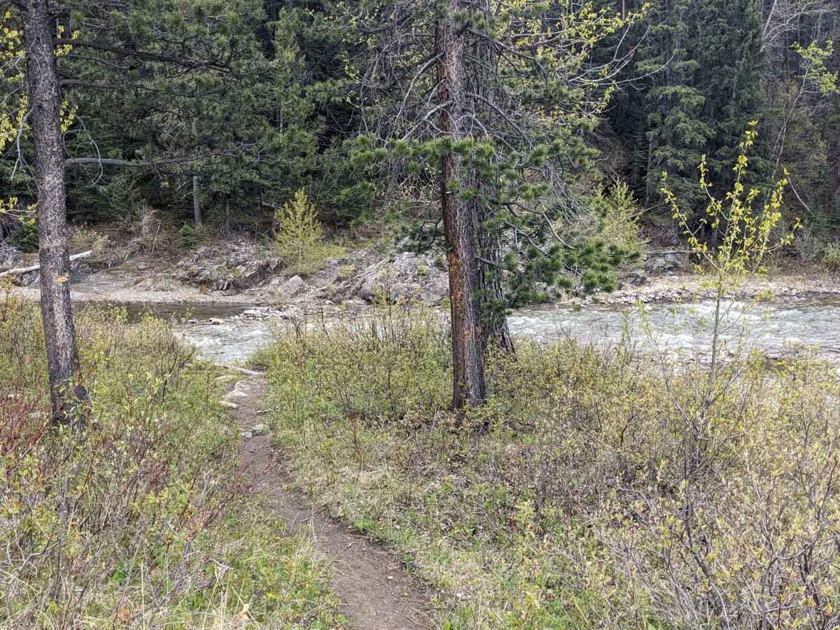 East Lynx Creek Trail photo 5