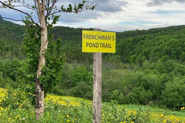 Frenchman's Pond Trail