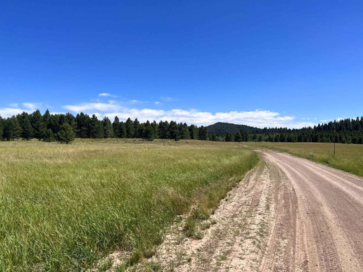 North Antelope Flat Road (20168) photo 2
