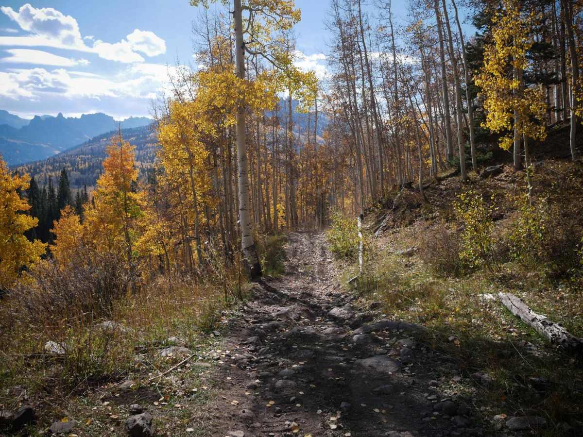 Cowboy Lakes ATV photo 2