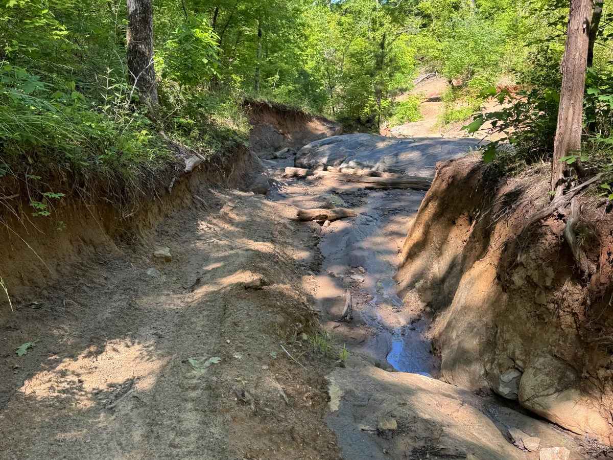 Palmetto Crossing trail photo