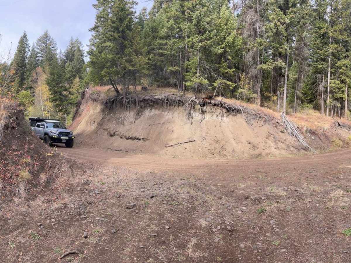 Pinaus Lake Road to Pinaus Lake North Rec Site photo 2