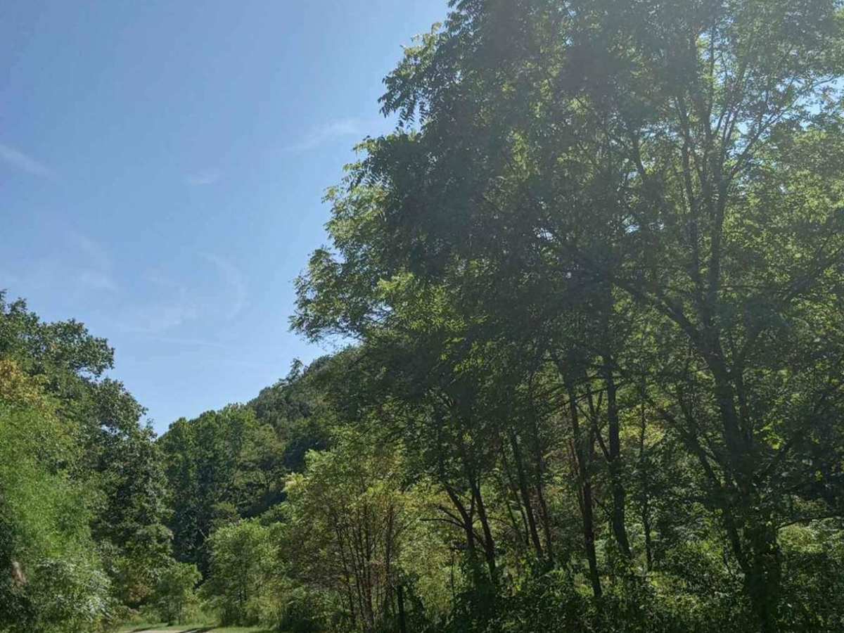 Hunterdon Road photo 5