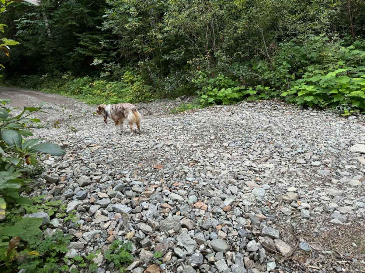 Clear Creek photo 5