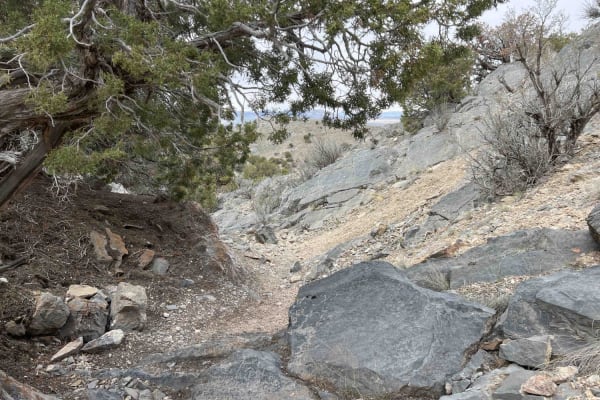 Rib Cage Canyon