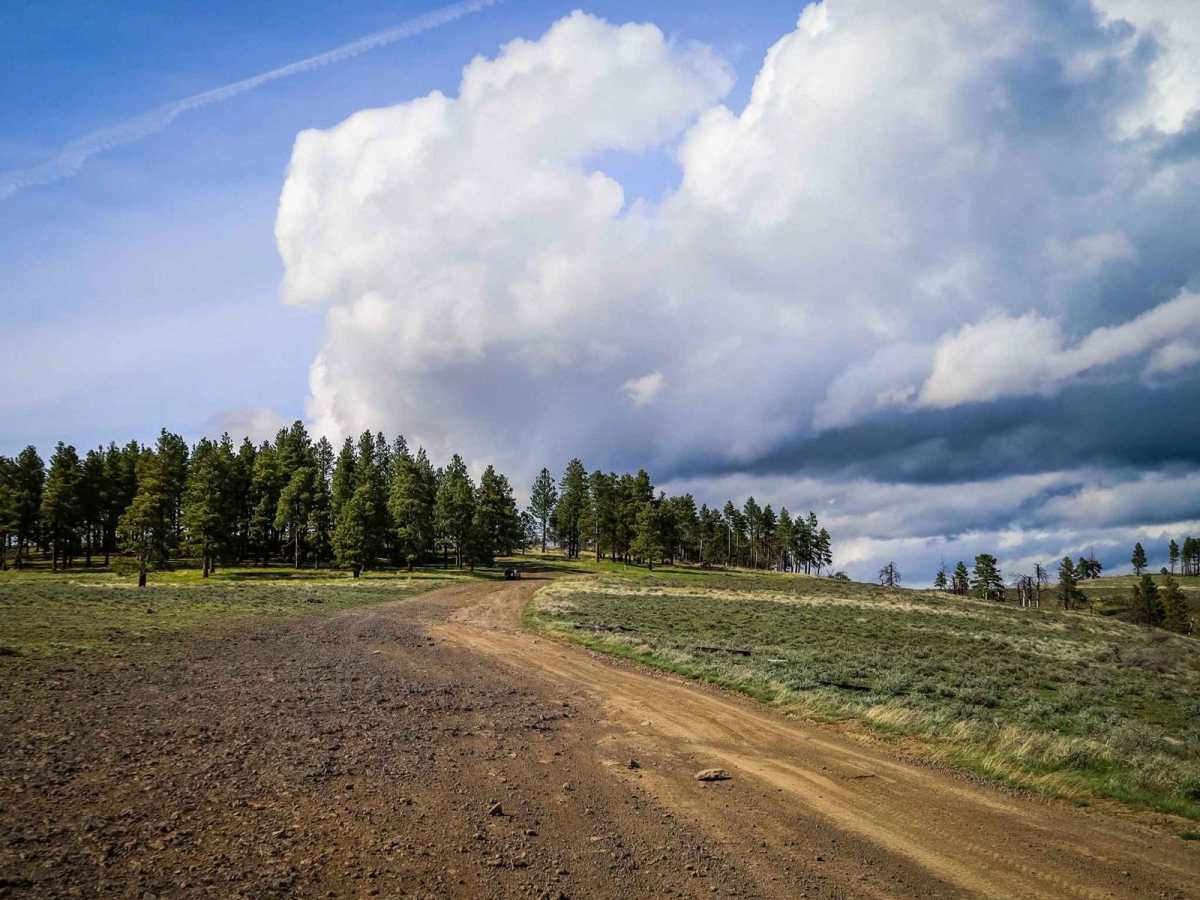 Quilomene Ridge Road photo 2