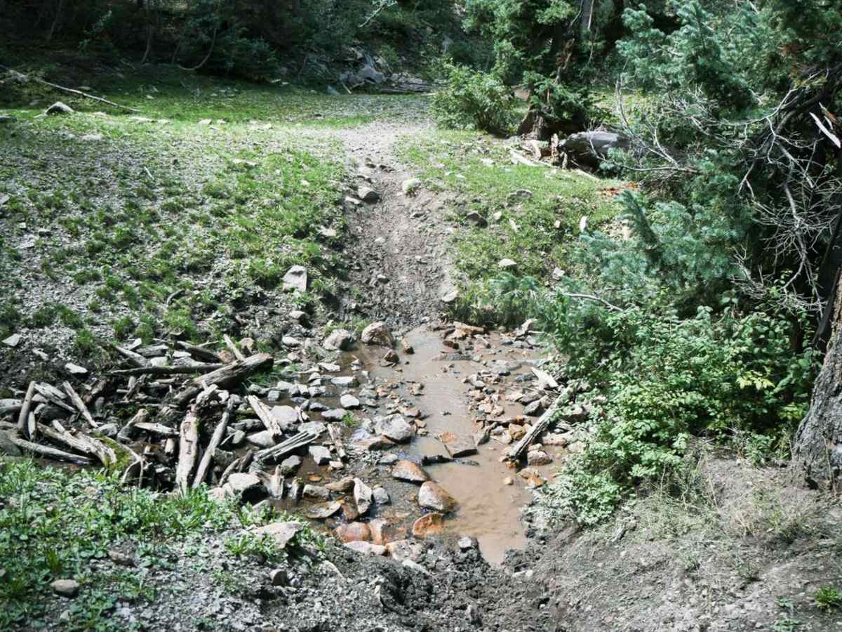 Box Canyon Spur photo 6