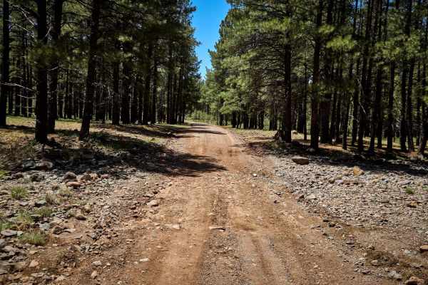 Loop Road / 108 South Section