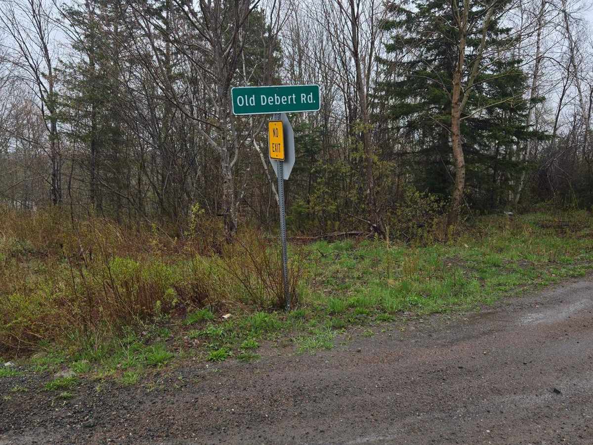 Old Debert Road trail photo