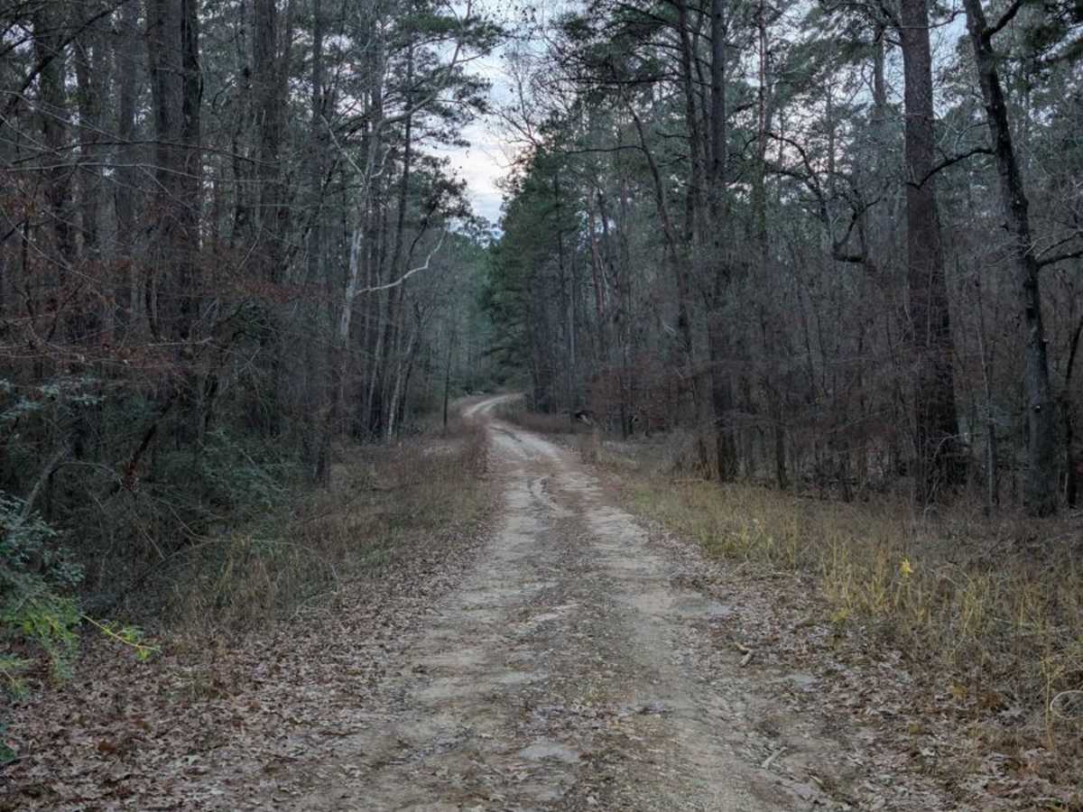 Gas Pump Trail photo 4
